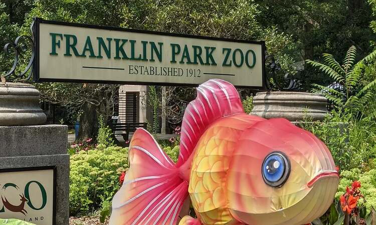 best-franklin-park-zoo-boston-ma - The GPS Guide