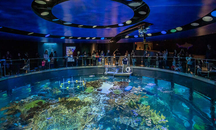 best-new-england-aquarium-boston-ma - The GPS Guide